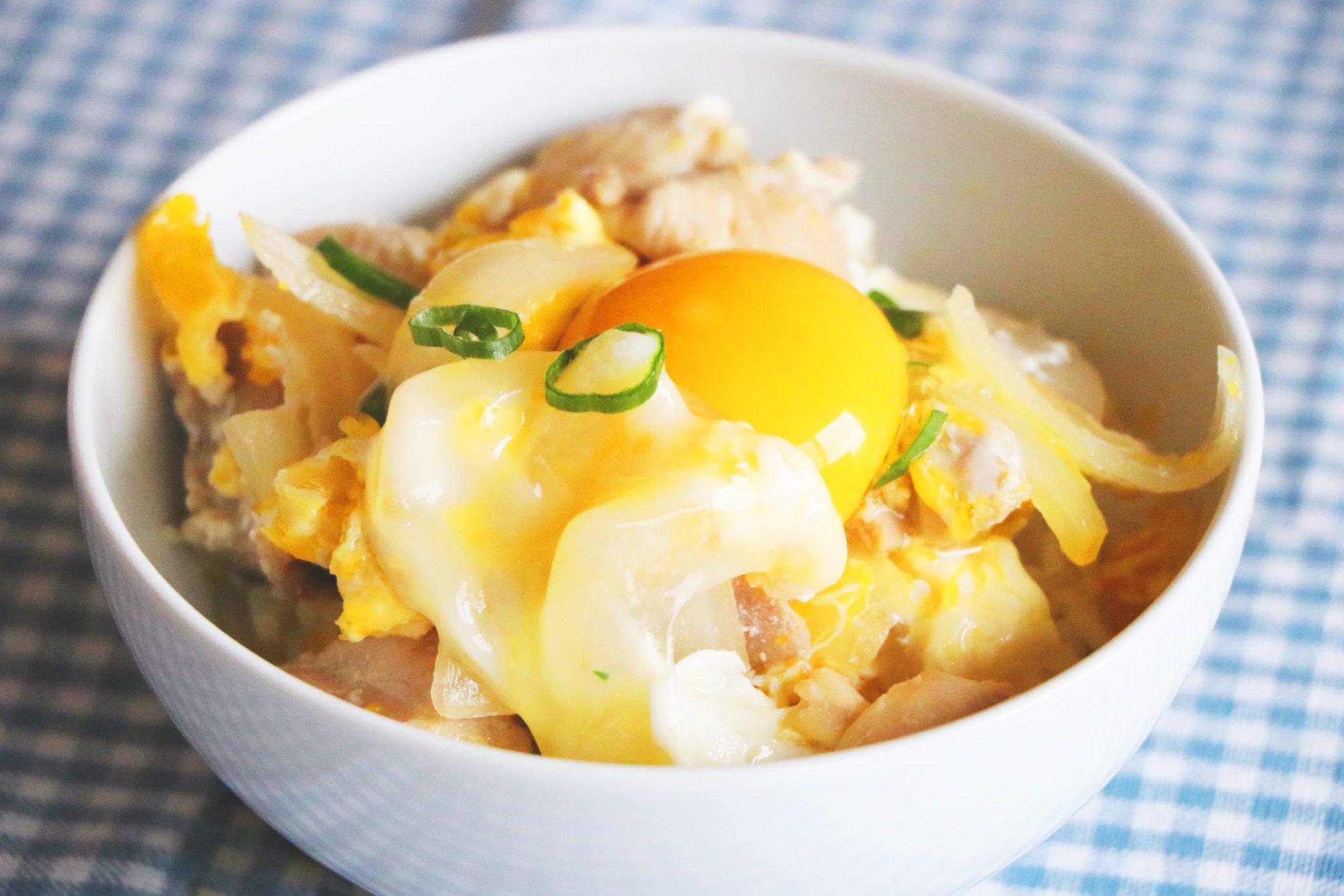 One Pot Oyakodon (Made in Rice Cooker) - Cook With Dana
